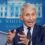 EXPLOSIVE! Sputnik News asks Jeff J. Brown to explain why Joe Biden fully pardoned Anthony Fauci: to keep them both from being hanged in a Nuremberg war crime trial! China Rising Radio Sinoland 250125